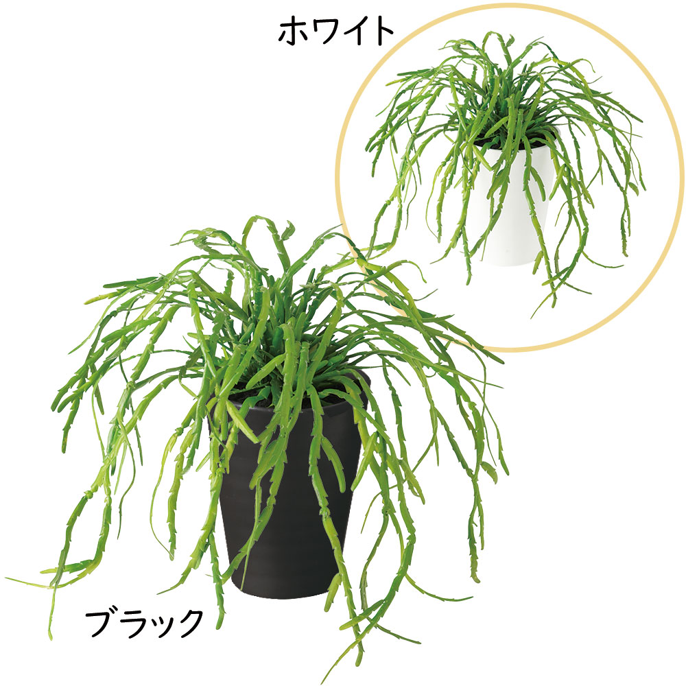 リプサリス インテリアグリーン おしゃれ 人気 フェイクグリーン
