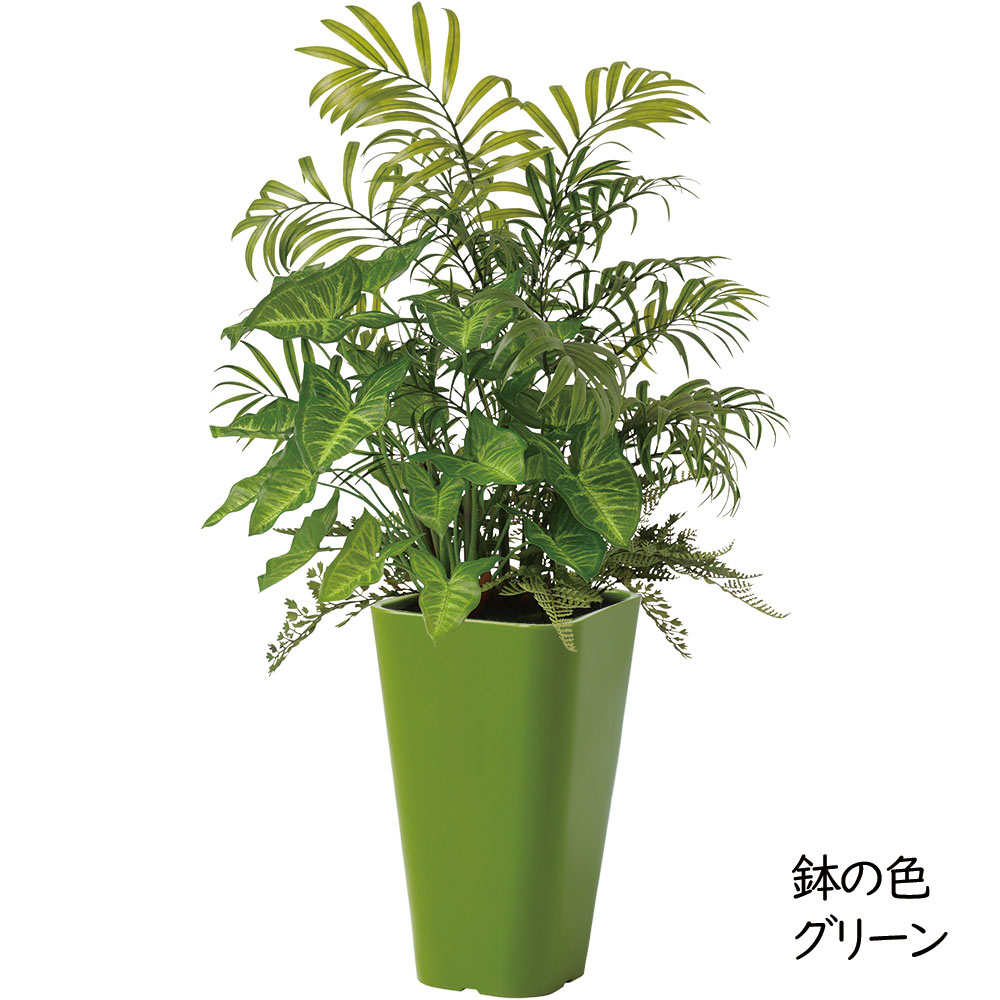 テーブルヤシ 大型 観葉植物 人気 おしゃれ インテリアグリーン