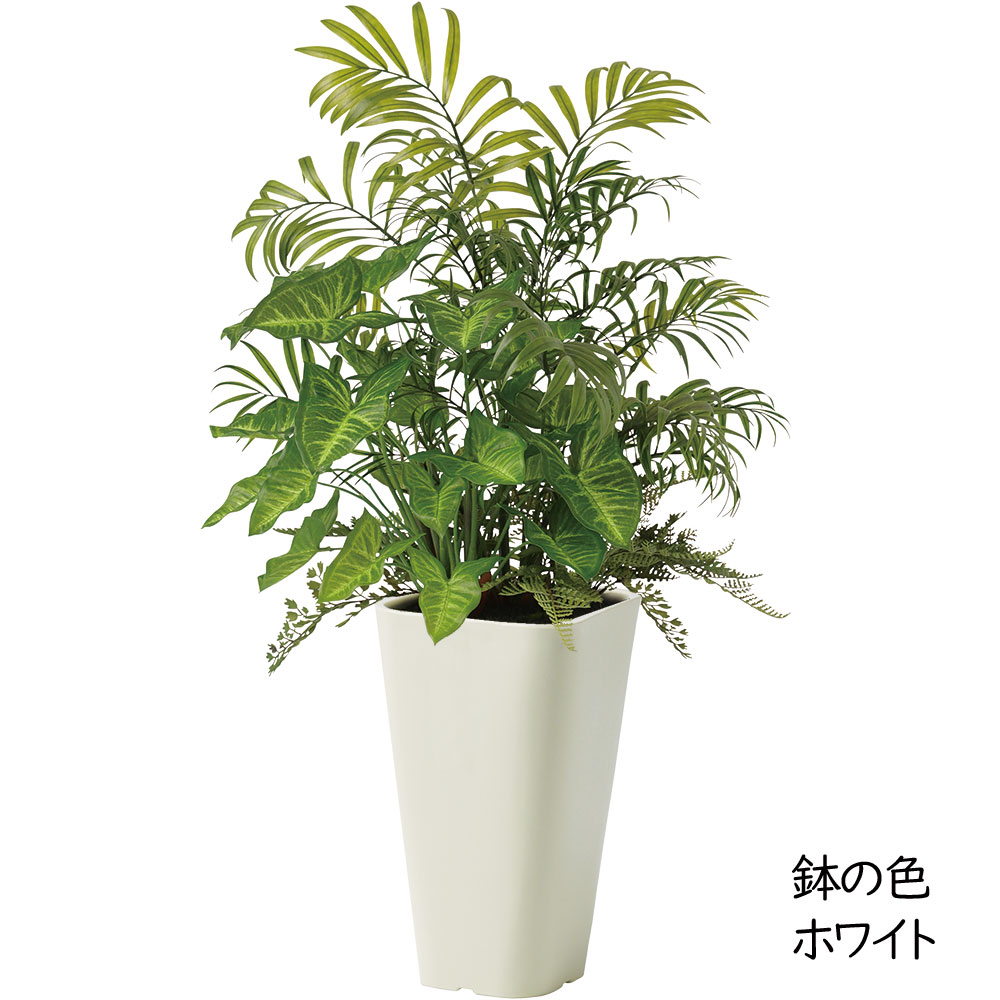 テーブルヤシ 大型 観葉植物 人気 おしゃれ インテリアグリーン