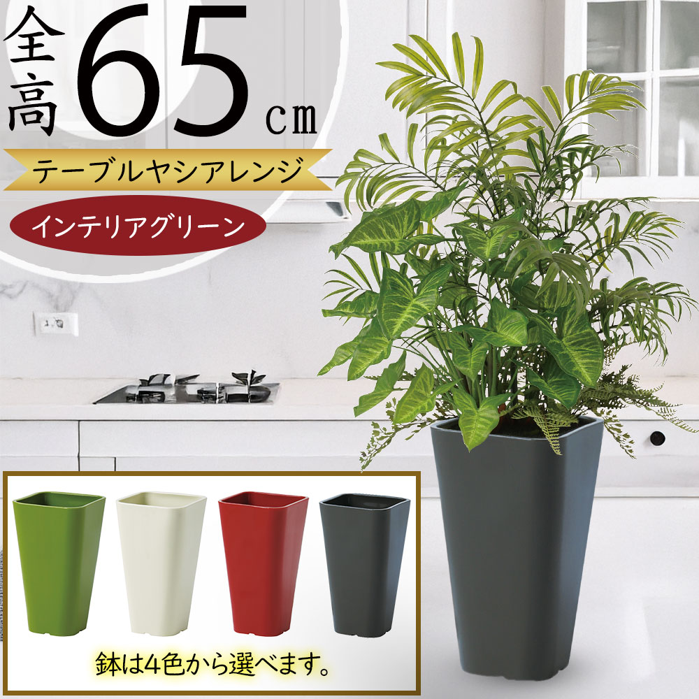人工観葉植物 約170cm ヤシ Amazon｜ヤシの木, 椰子の木 観葉植物, 人工観葉植物, 立派な幹