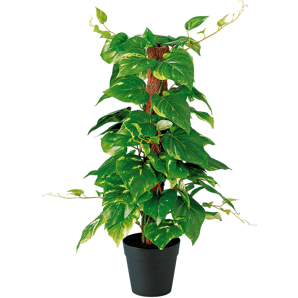フェイクグリーン 人気 リアル 観葉植物 おしゃれ インテリア