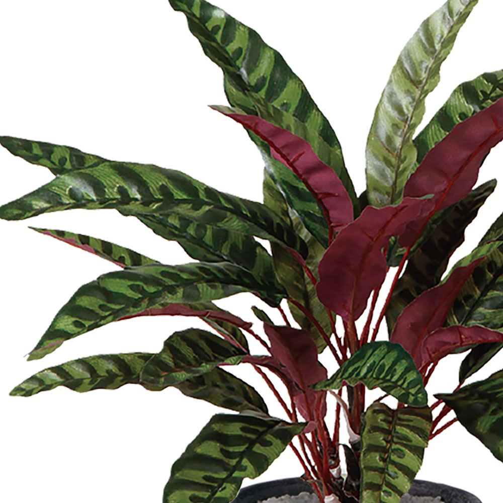 カラテア インテリアグリーン おしゃれ 観葉植物 フェイクグリーン