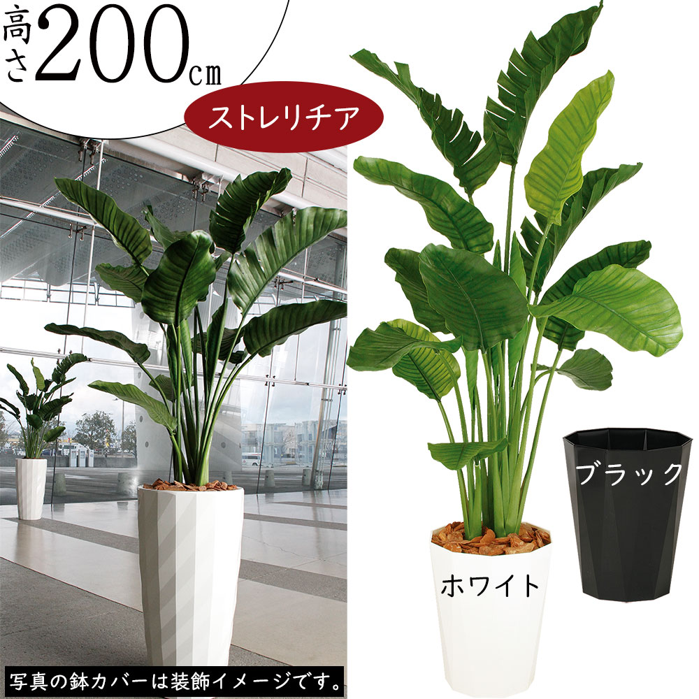 ストレリチア 大型 ストレチア 観葉植物 おしゃれ インテリアグリーン フェイクグリーン 造花 人工観葉 人工樹木 オーガスタ おすすめ 特大 大きい  大きめ 200cm