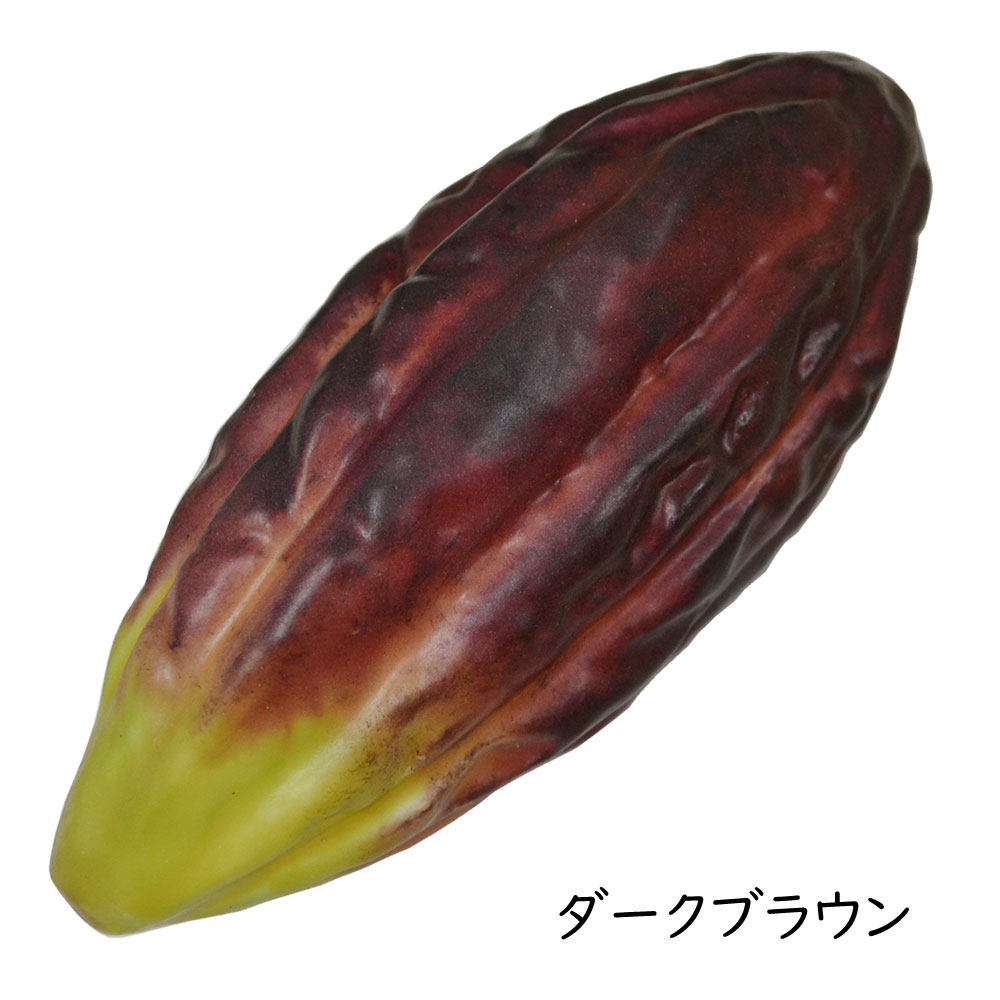 ダークブラウンのカカオ