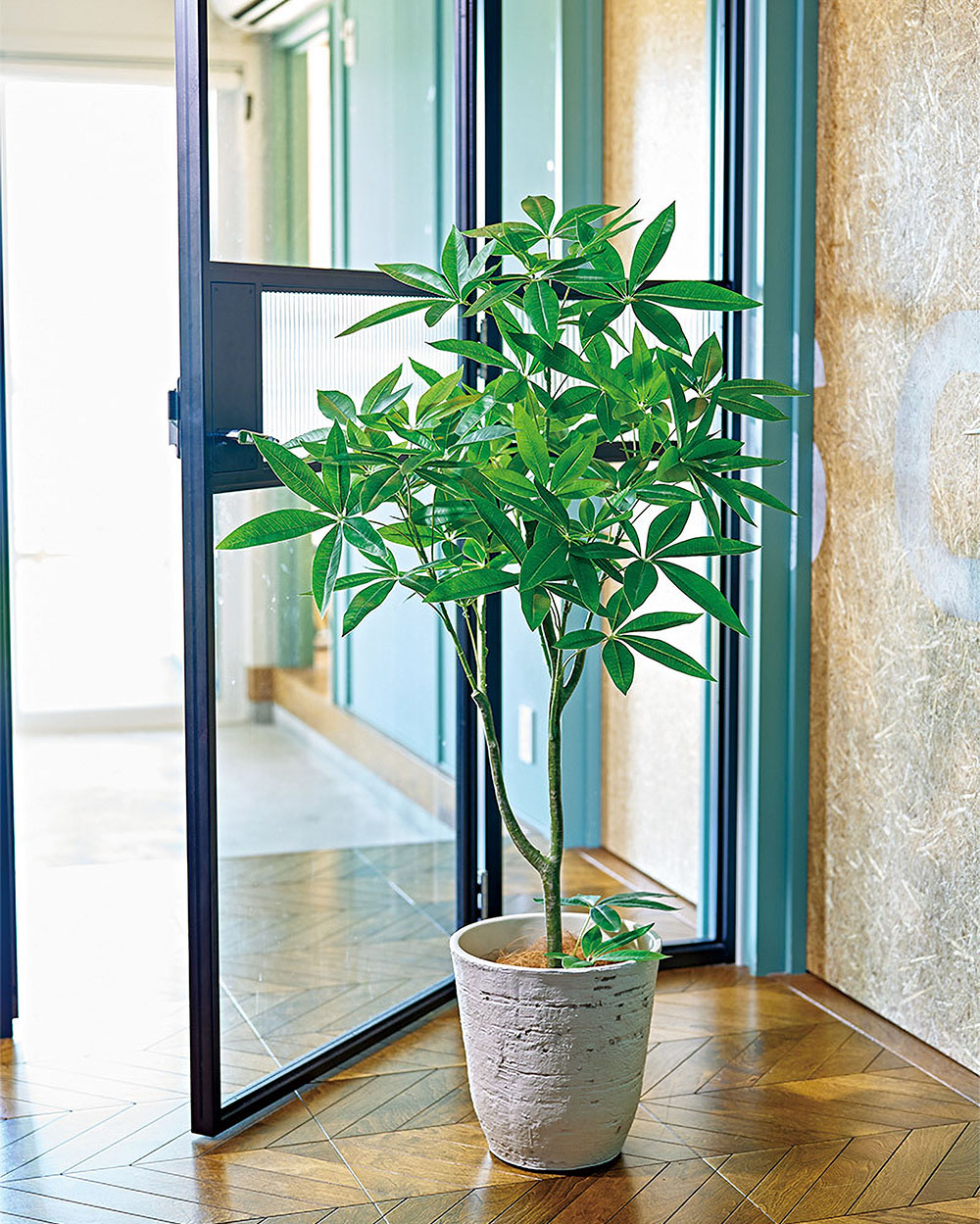 パキラ インテリアグリーン おしゃれ 観葉植物 フェイクグリーン