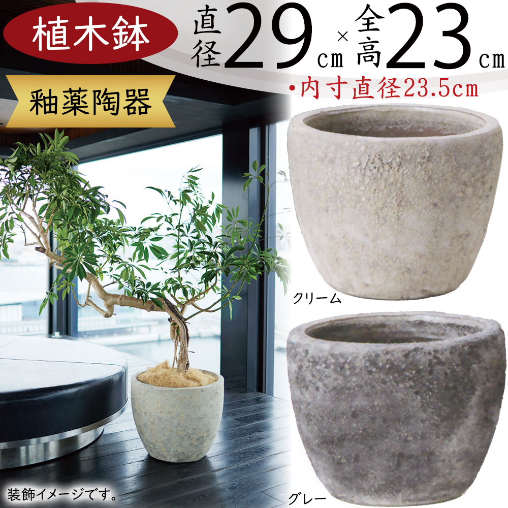 イヤープラント。陶器大の鉢植え。 ab-so1-10e-z1x.jpg
