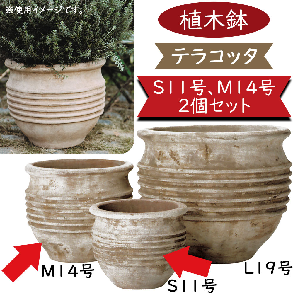 植木鉢 テラコッタ 大型 おしゃれ プランター 人気 おすすめ 観葉植物