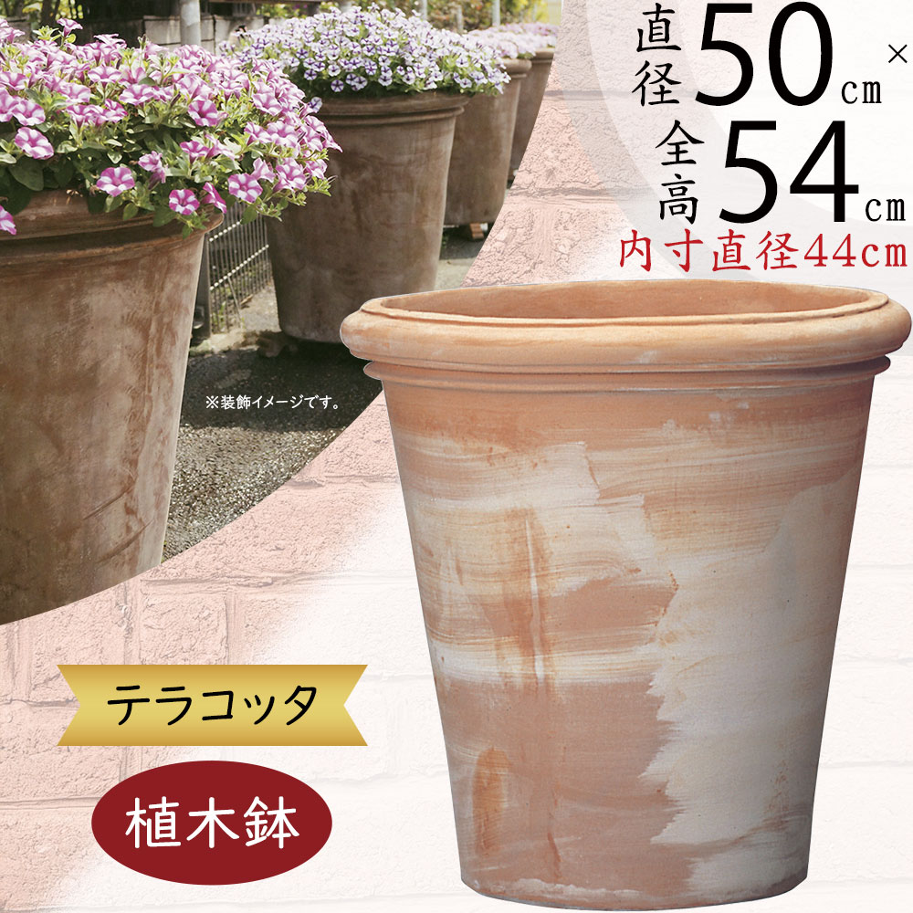 テラコッタ鉢 素焼き鉢 植木鉢 プランター 3個セット ガーデニング 園芸 楽天市場】三河焼 植物にやさしい 素焼き鉢 メキシカン 3号 10cm