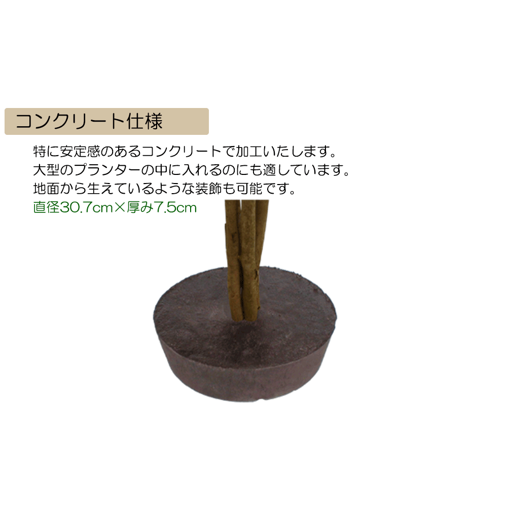 コンクリート 大型プランターの中に入れるのにも適しています。