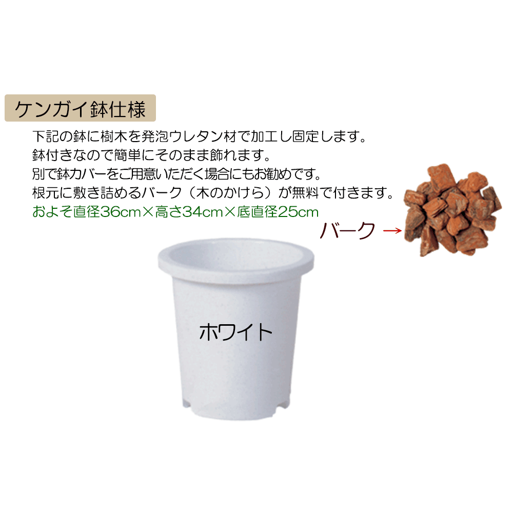 ケンガイ鉢仕様 別でカバーをご用意いただく場合にもお勧めです。
