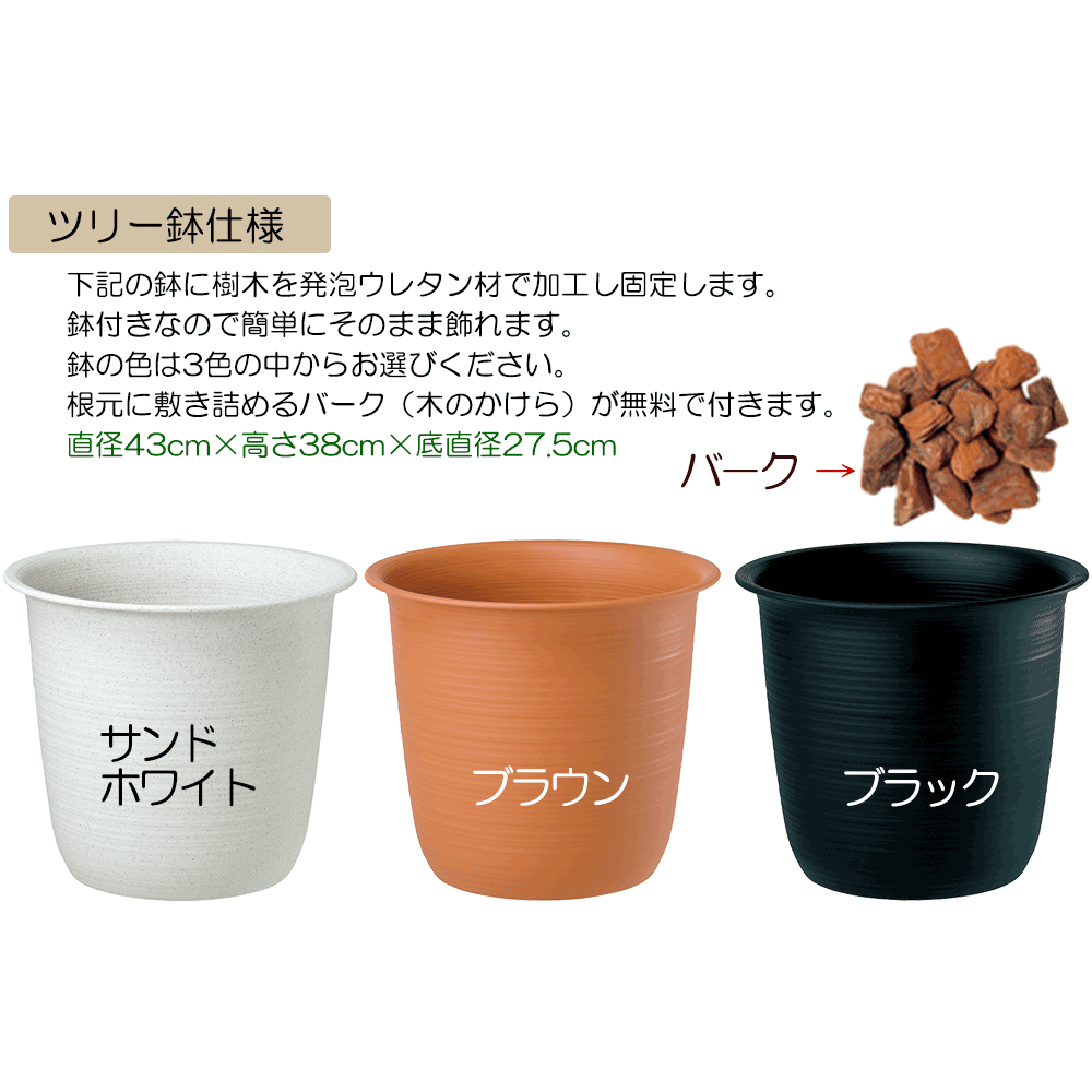 ツリー鉢仕様 鉢の色は「サンドホワイト」「ブラウン」「ブラック」の中からお選びください。