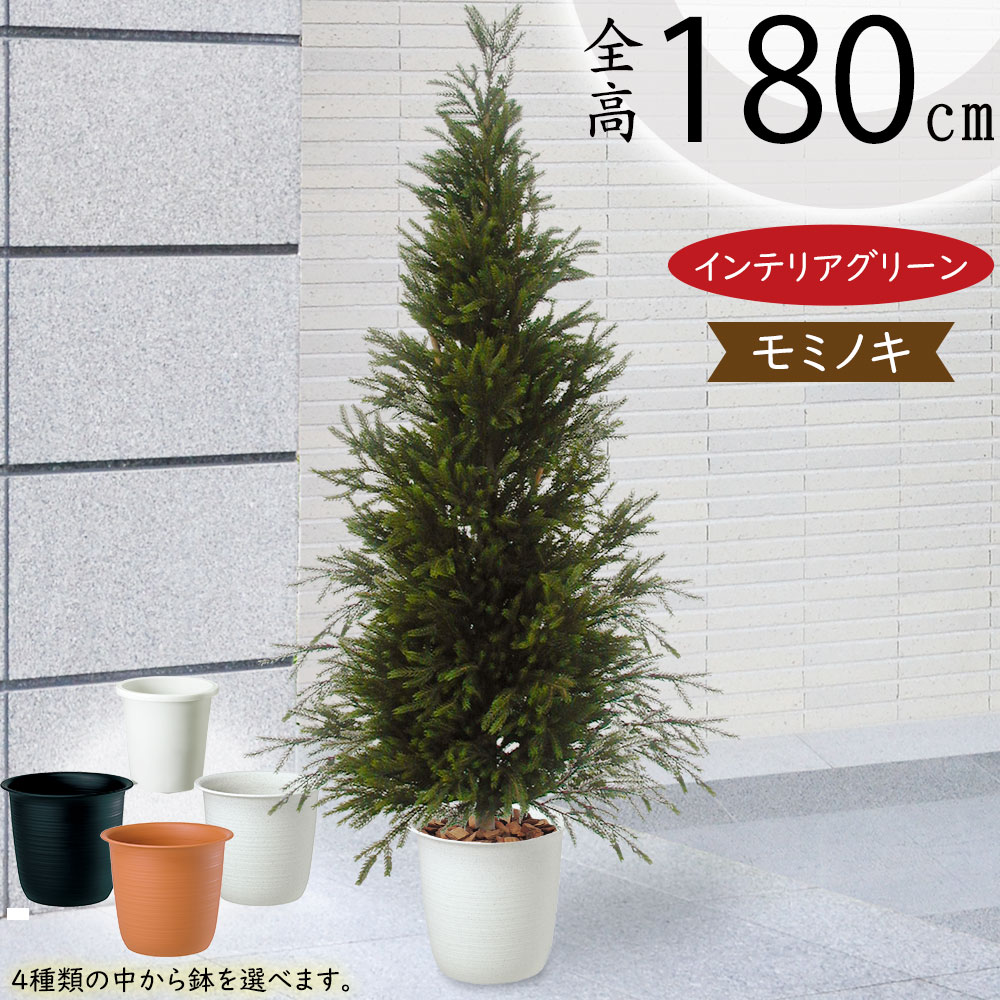 リアルなモミノキの人工樹木