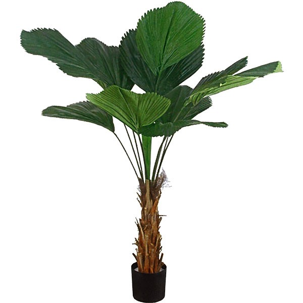 人工観葉植物 全高1 2m ウチワヤシ ヤシ類 人工樹木 造花 花材 リーフ インテリアグリーン フェイクグリーン リゾート演出 ディスプレイ Viaprodesarrollo Edu Py Index Php 人工観葉植物 全高1 2m ウチワヤシ ヤシ類 人工樹木 造花 花材 リーフ インテリアグリーン フェイクグリーン リゾート演出 ディスプレイ Viaprodesarrollo Edu Py Index Php