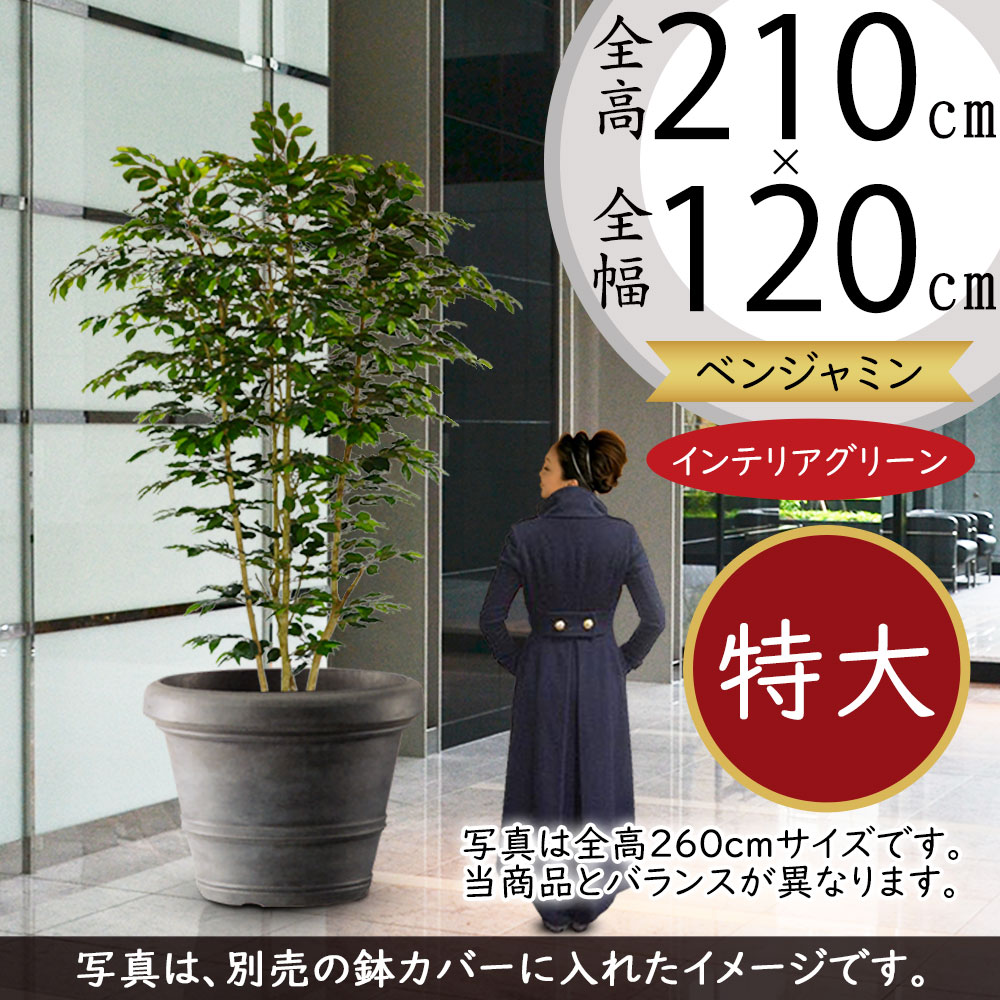 xW~ ^  CeAO[ tFCNO[ A ϗtA lH p[e[V Ԏd؂ ډB  t ChO 210cm