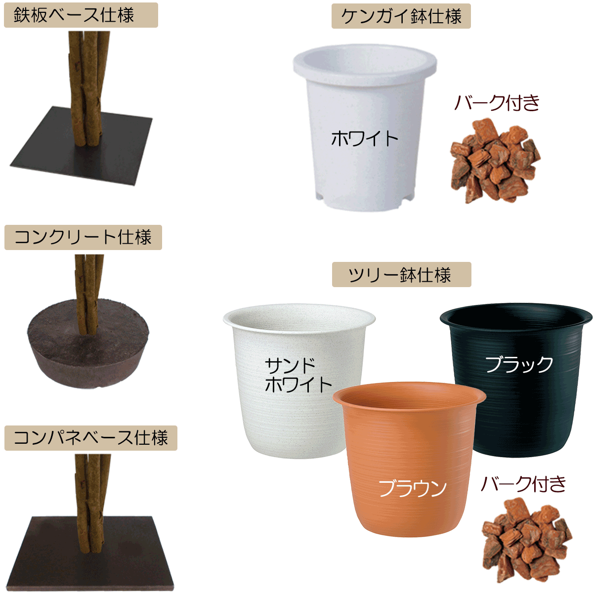 ベンジャミン 大型 おしゃれ インテリアグリー...の詳細画像5