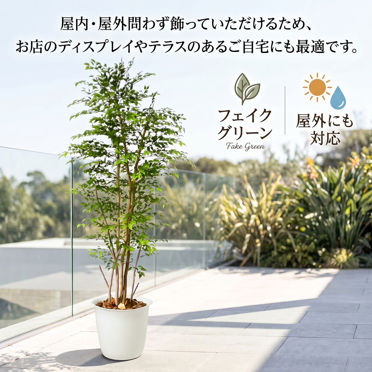 屋外用ミニフィカスベンジャミン設置例