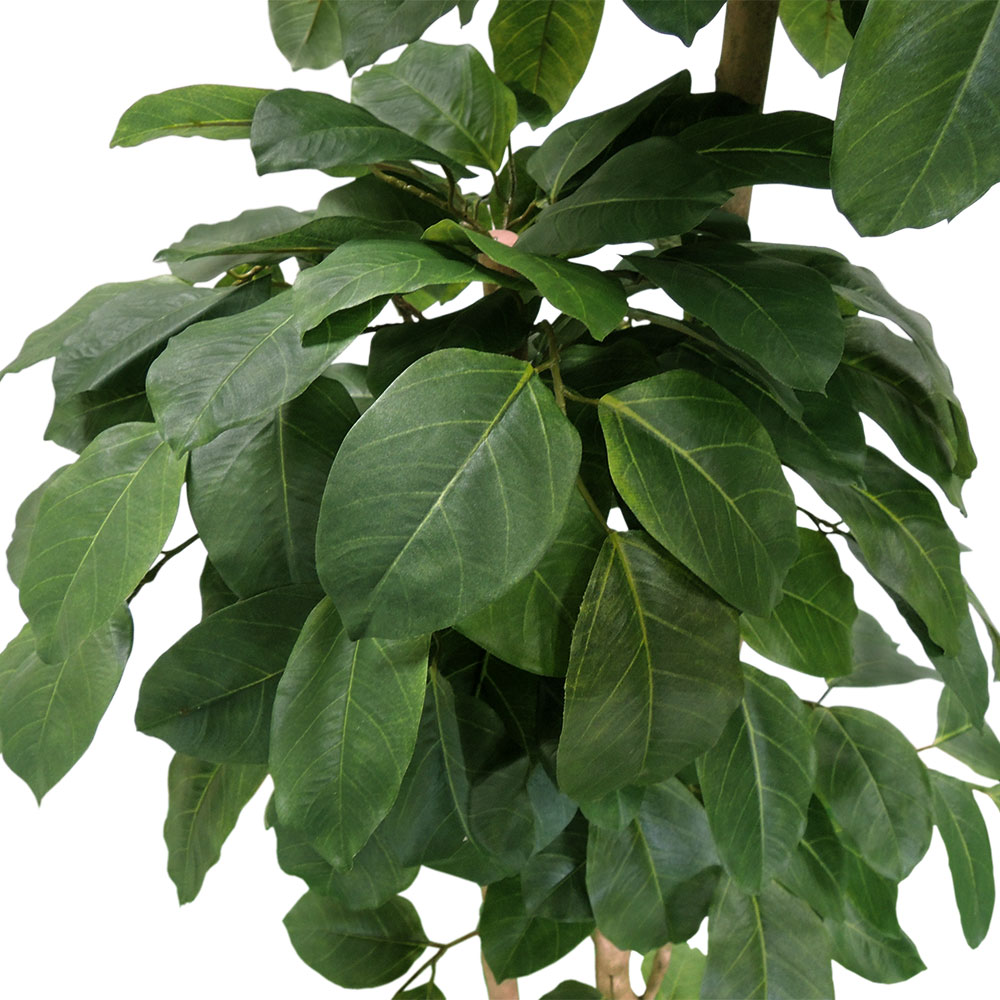 光触媒　人工観葉植物　ウォールグリーン　フェイクグリーン　インドボダイジュFST 光触媒 人工観葉植物 ウォールグリーン フェイクグリーン ウッド