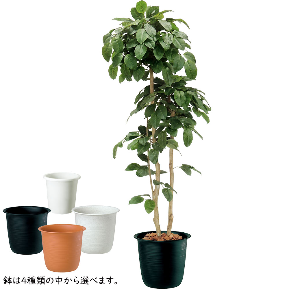 大きくて葉脈の美しいボダイジュの造花の葉