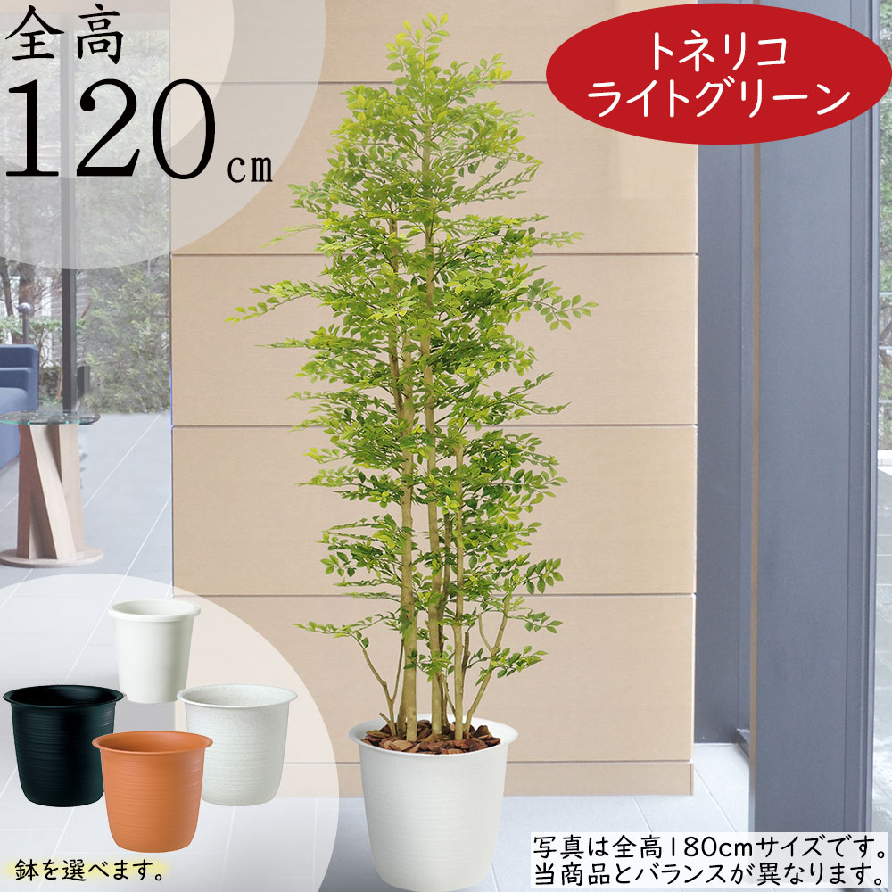 光触媒 人工観葉植物 ウォールグリーン フェイクグリーン トネリコ高さ1.2-