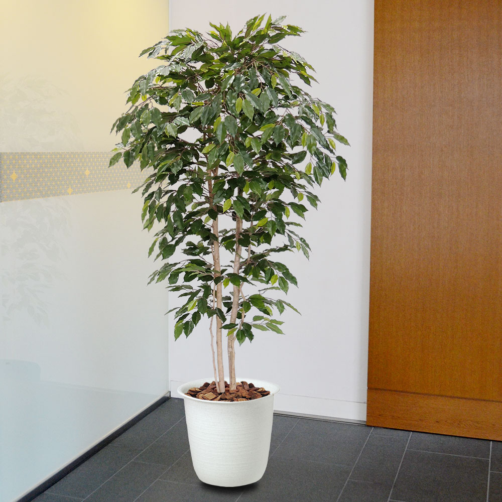 ベンジャミン 人気 おしゃれ フェイクグリーン 大型 観葉植物