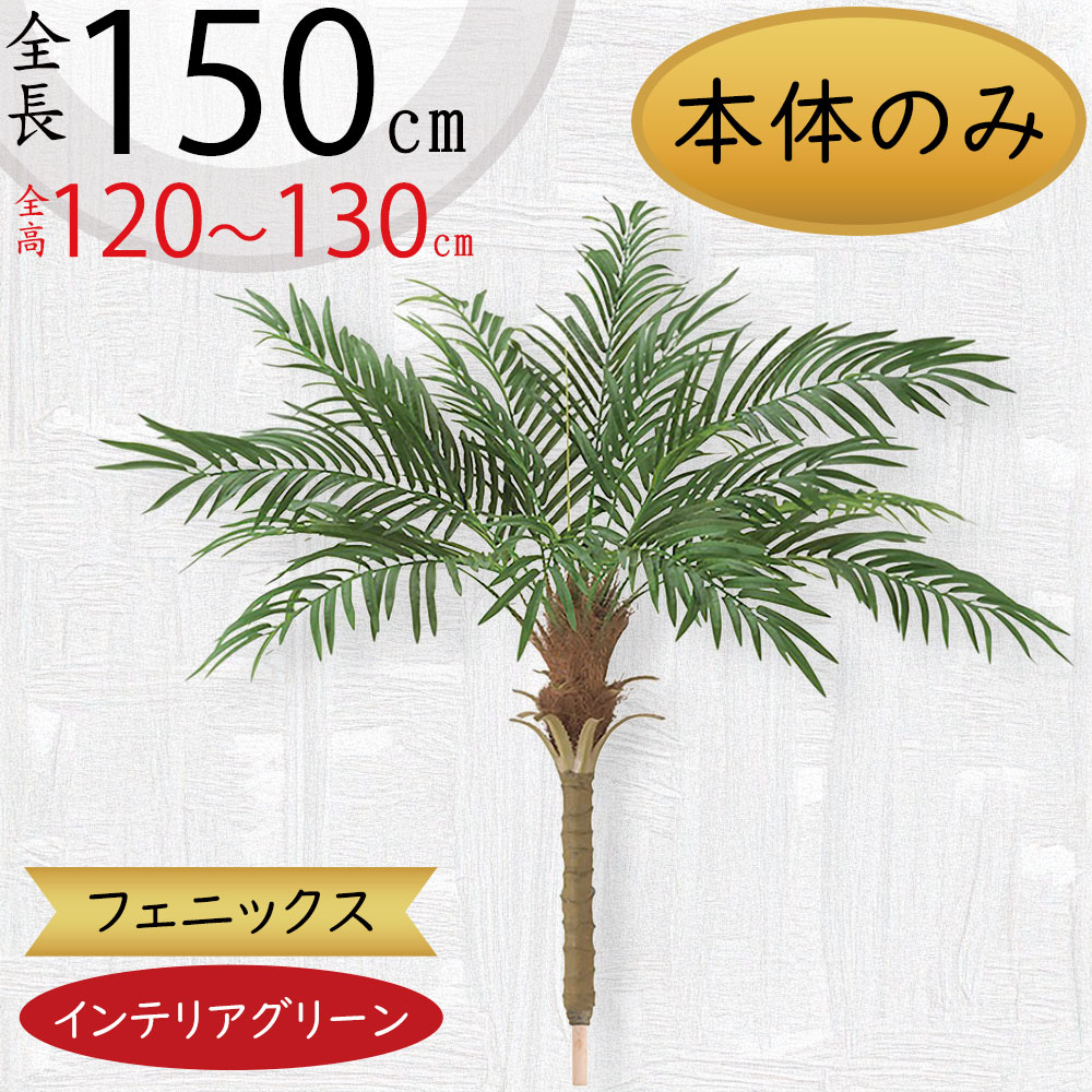 フェニックス ヤシの人気商品・通販・価格比較 - 価格.com フェニックス ヤシの人気商品・通販・価格比較 - 価格.com