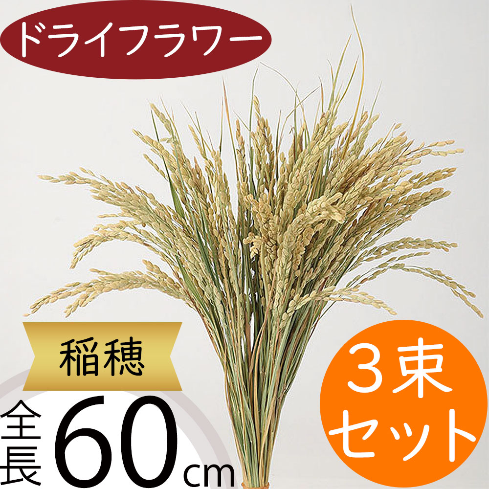 稲穂 ドライフラワー おしゃれ 天然素材 観葉植物 ナチュラル