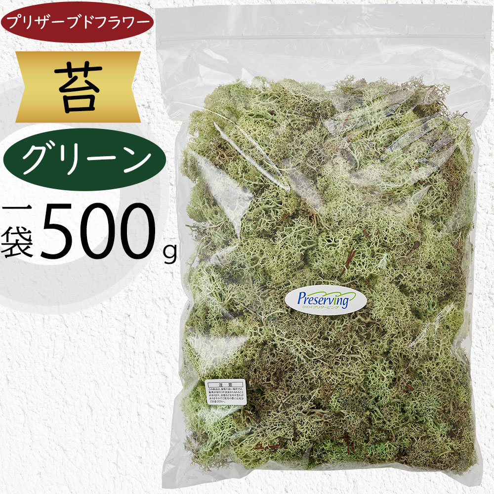 プリザーブドフラワー 苔 モス おしゃれ 観葉植物 人気 アイランドモス