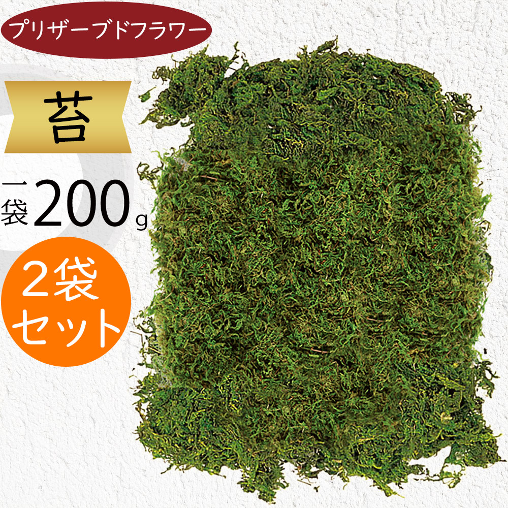 プリザーブドフラワー 苔 モス 山苔 山ゴケ おしゃれ 観葉植物 人気