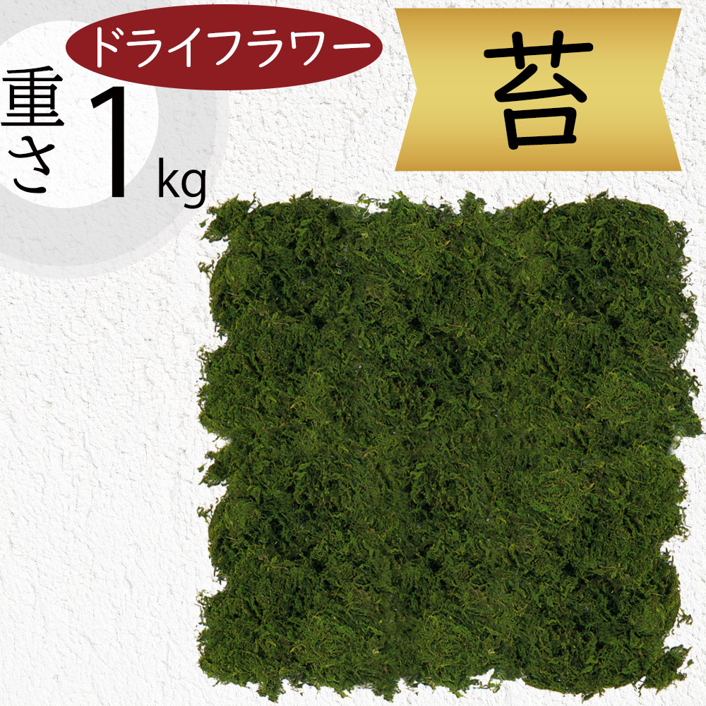 苔　ドライフラワー　インテリア　本物 モス（苔）のドライフラワーの使い方 - はなめも。～花屋のメモ帳～