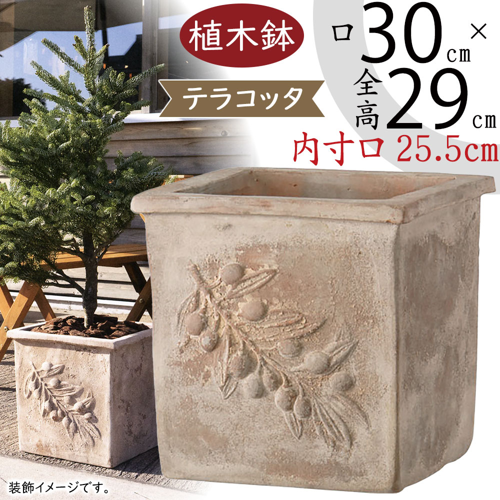 eb-34278130gi-z1.jpg