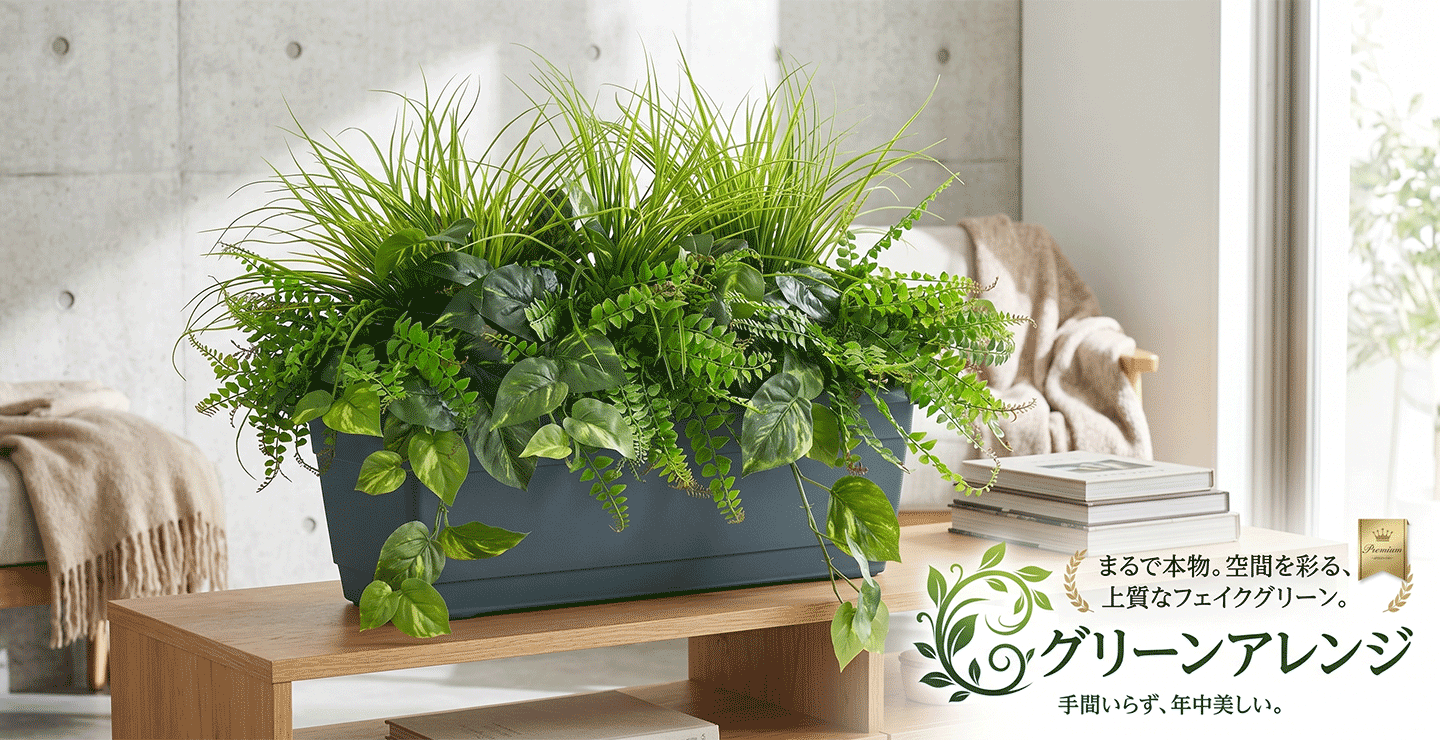 インテリアグリーンと植木鉢の通信販売 - グリーンアレンジ｜Yahoo