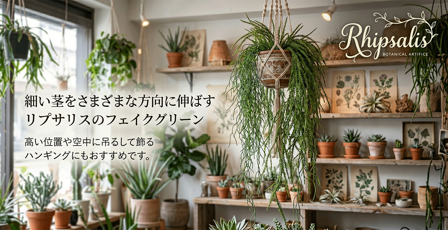 インテリアグリーンと植木鉢の通信販売 - リプサリス｜Yahoo!ショッピング