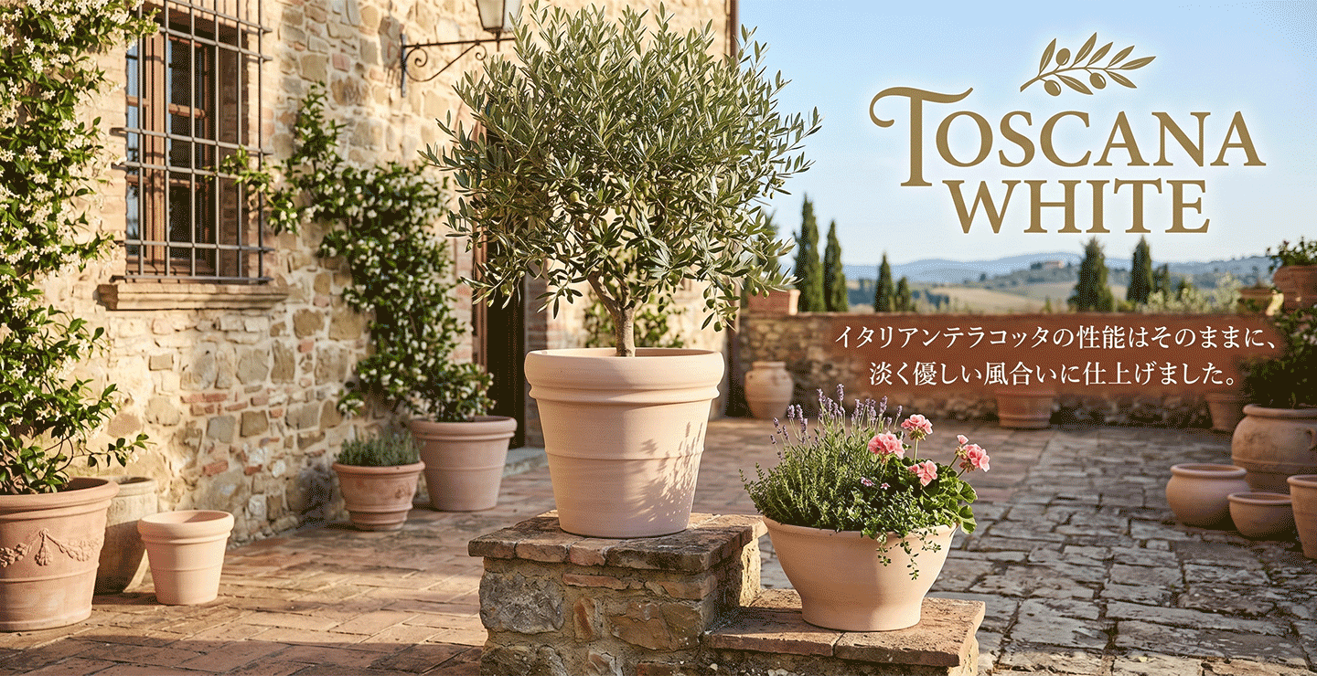 インテリアグリーンと植木鉢の通信販売 - トスカーナホワイト｜Yahoo