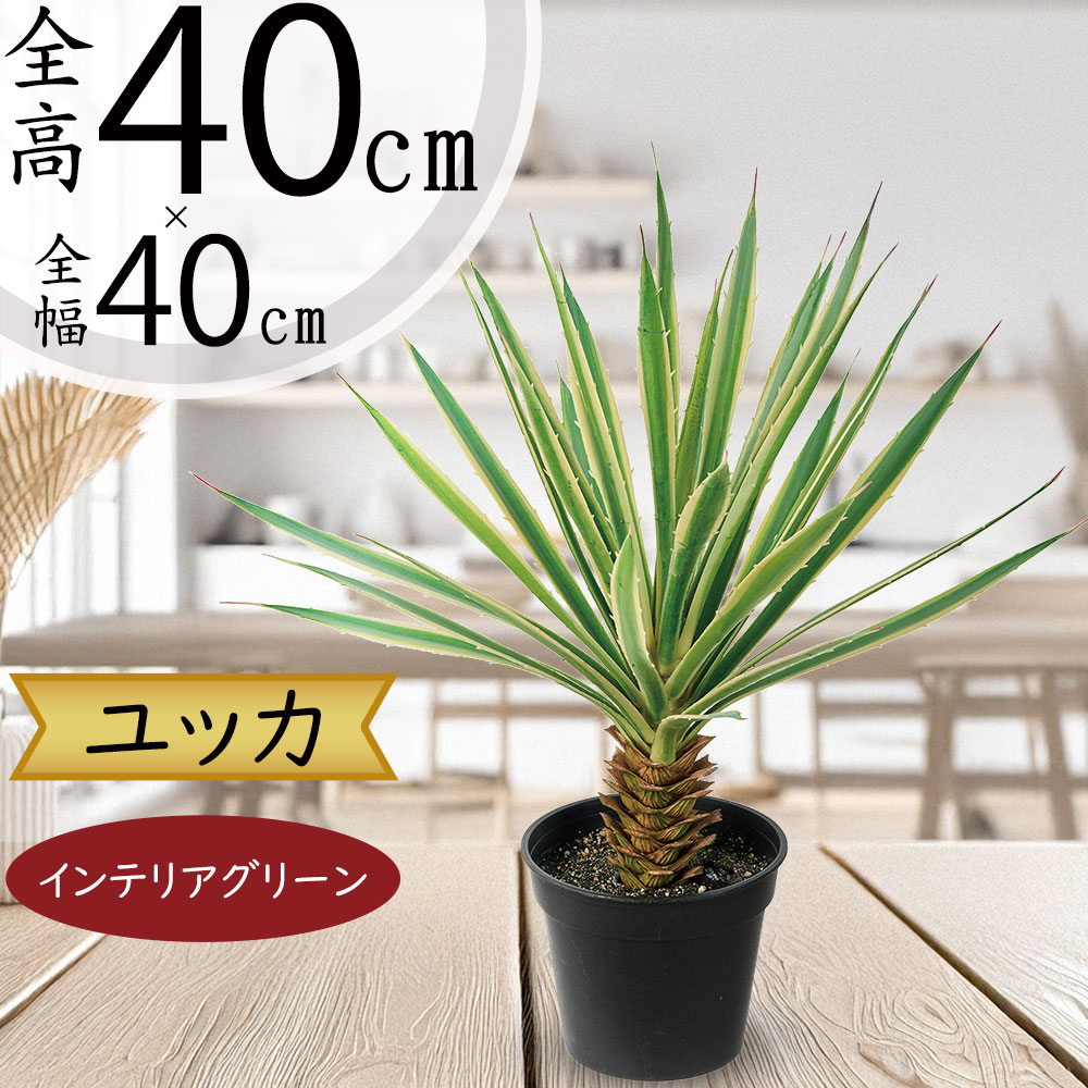 ユッカ（人工観葉植物）
