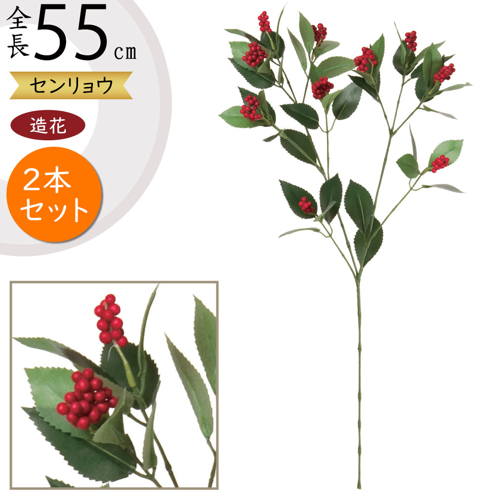 痼   lC A[eBtBVt[ A lHϗtA  VN a N t[AWg fBXvC  55cm 2{Zbg