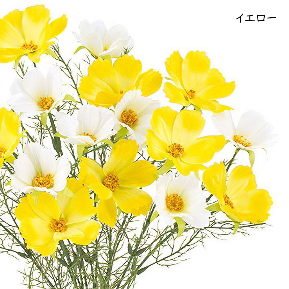 コスモス 造花 おしゃれ 人工観葉植物 秋桜 45cm 3本セット