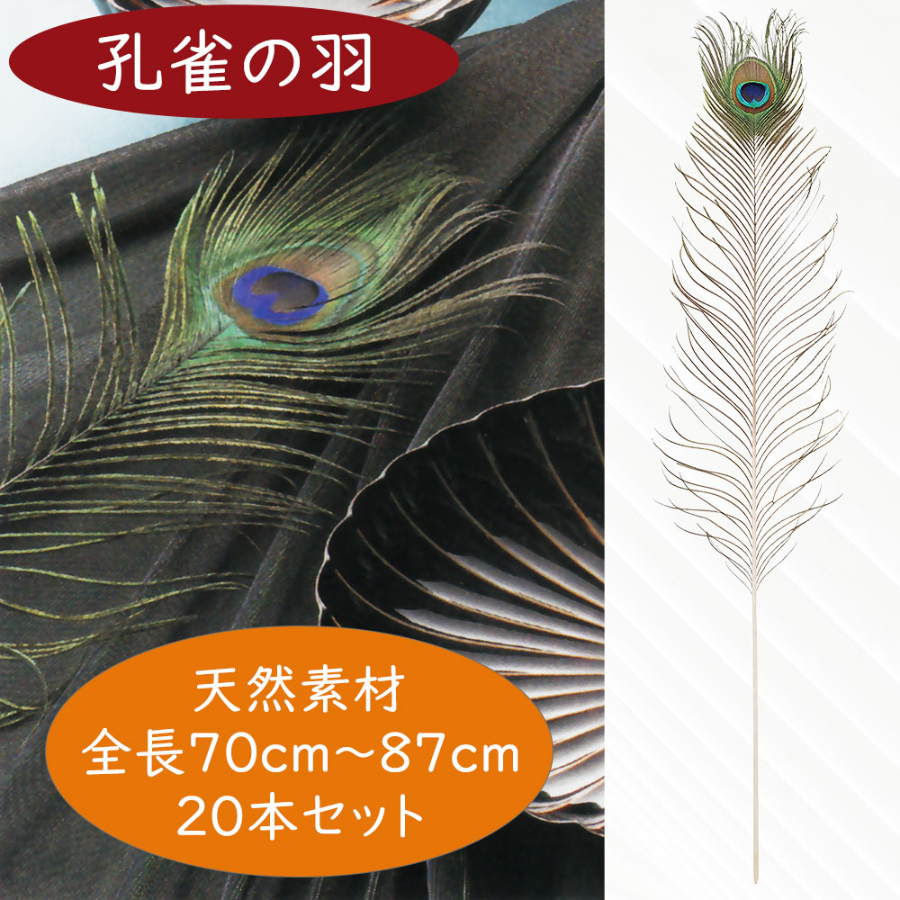 孔雀の羽根 人気 くじゃく 孔雀の羽 クジャクの羽 造花 70〜87cm 20本セット 天然素材  k1191