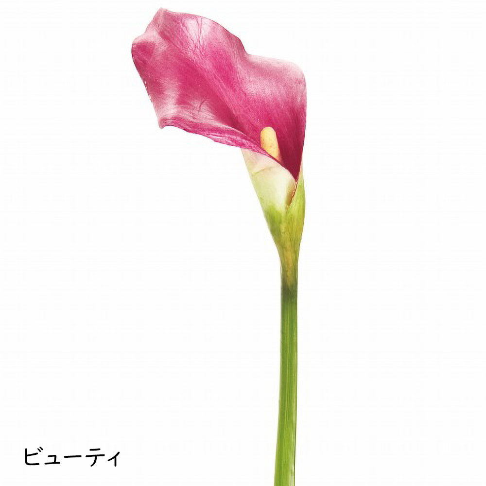 カラー カラーリリー 造花 おしゃれ 人気 リアル インテリア