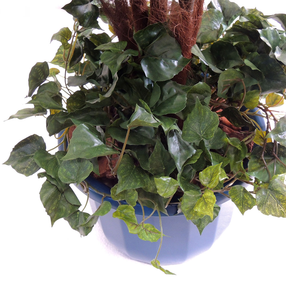 シュロチク 大型 ヤシ類 ヤシの木 観葉植物 人気 おしゃれ インテリア