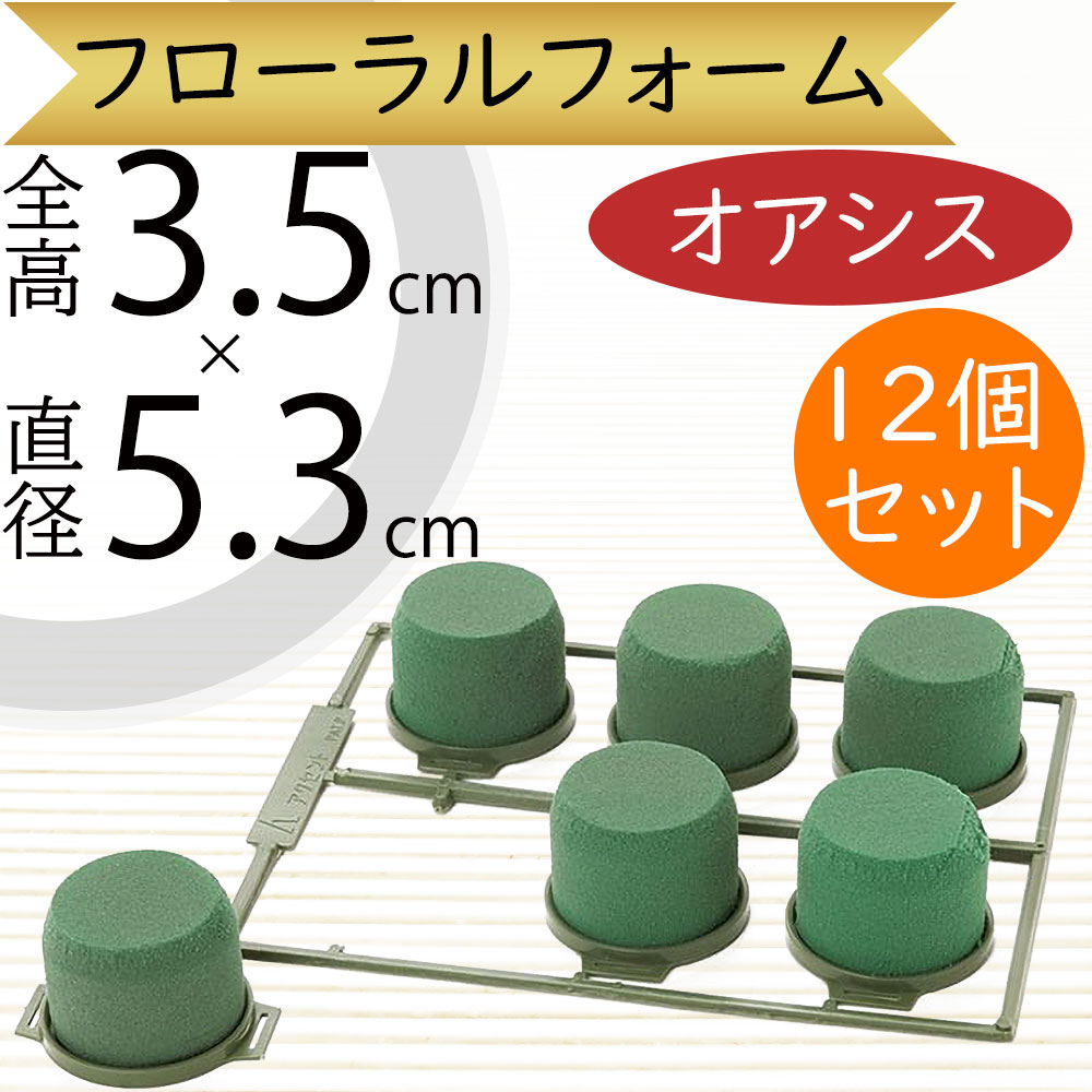 オアシス フローラルフォーム 人気 吸水 スポンジ フラワー