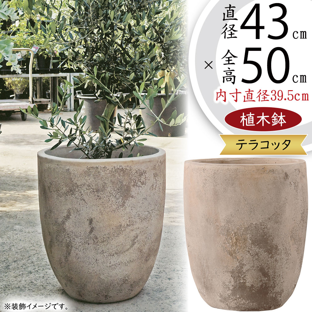 植木鉢 テラコッタ 大型 おしゃれ プランター 人気 おすすめ 素焼き