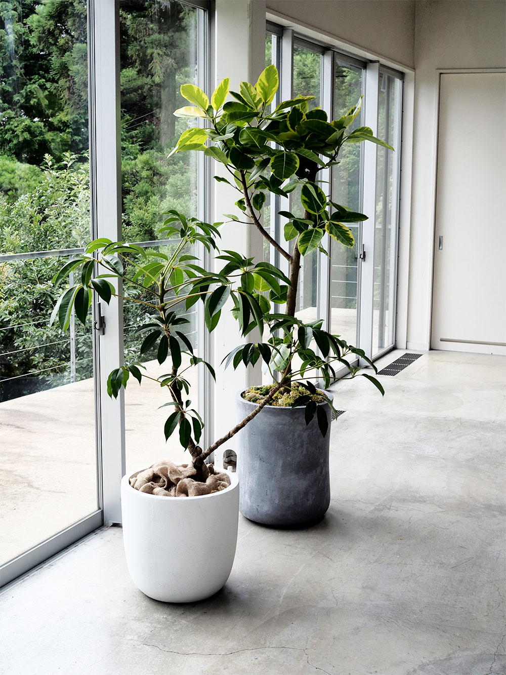 植木鉢 おしゃれ 大型 人気 おすすめ プランター ポット 観葉植物 園芸