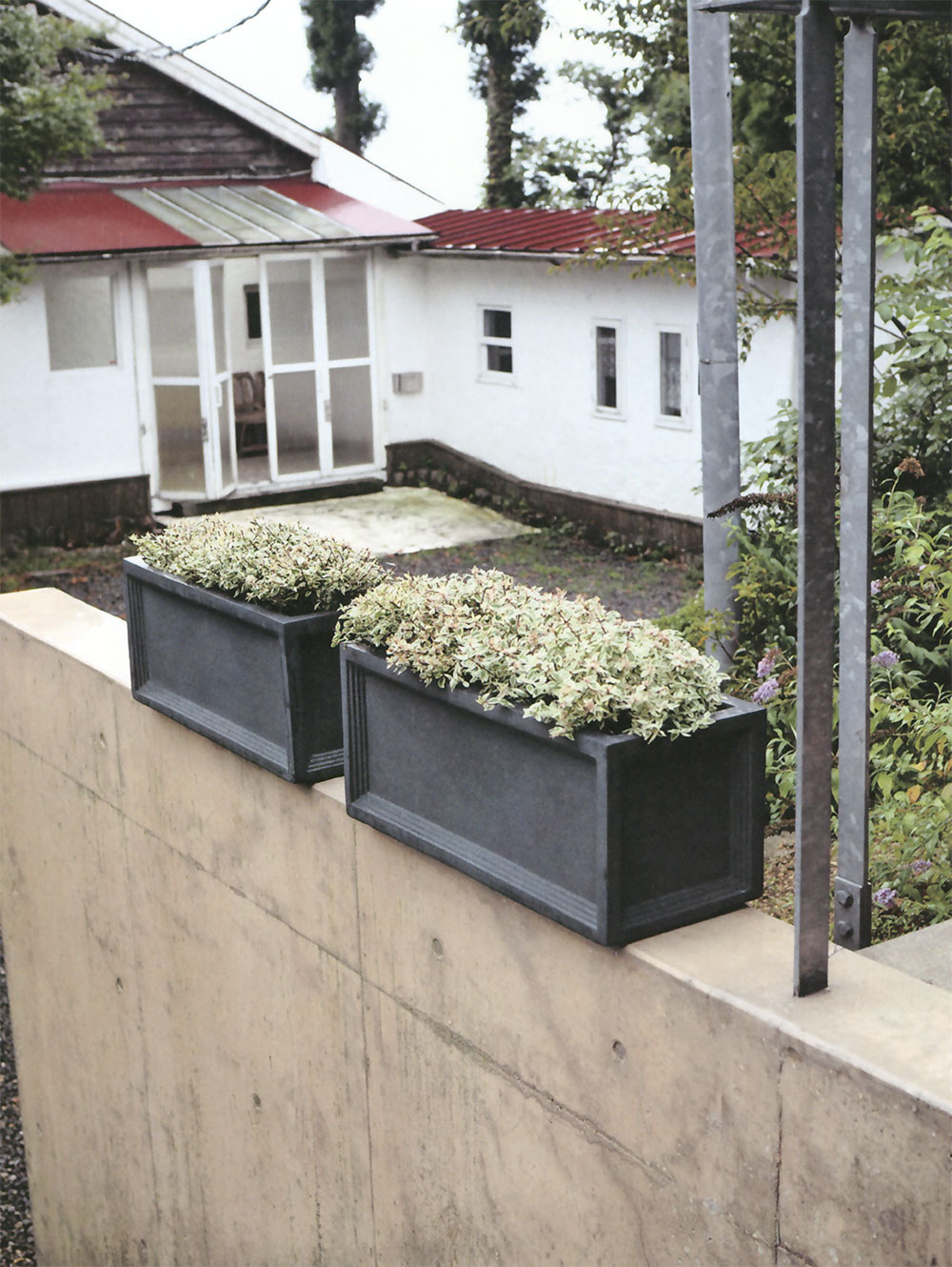 植木鉢 おしゃれ 大型 プランター 観葉植物 FRP コンテナ 幅広