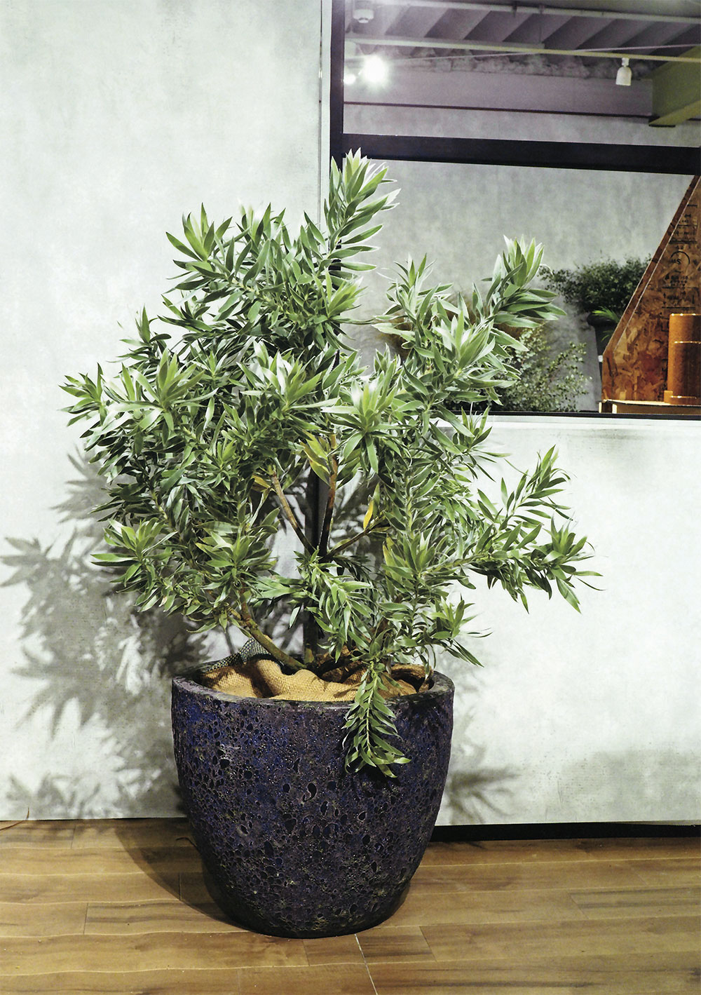 植木鉢 おしゃれ 大型 プランター 人気 おすすめ 園芸鉢 観葉鉢 陶器鉢