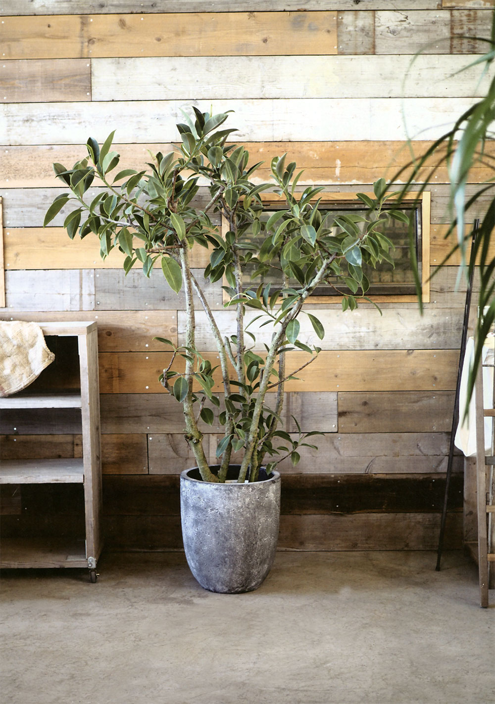 植木鉢 おしゃれ 大型 プランター 観葉植物 人気 おすすめ 園芸