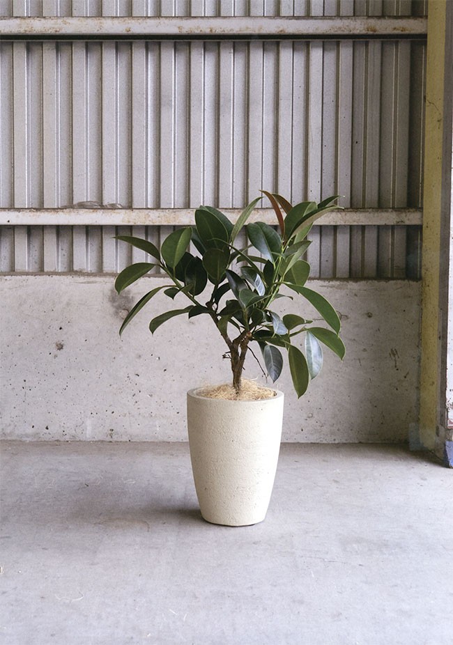 テラコッタ 植木鉢 おしゃれ 人気 おすすめ プランター 観葉植物 園芸