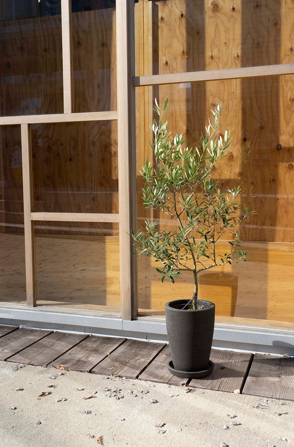 植木鉢 おしゃれ プランター 観葉植物 テラコッタ カイト コニック