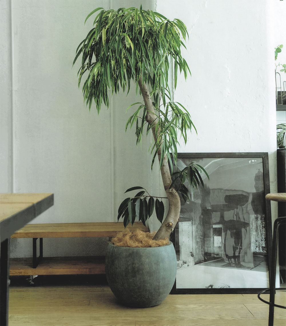 植木鉢 おしゃれ FRP 大型 プランター 観葉植物 園芸 ガーデニング