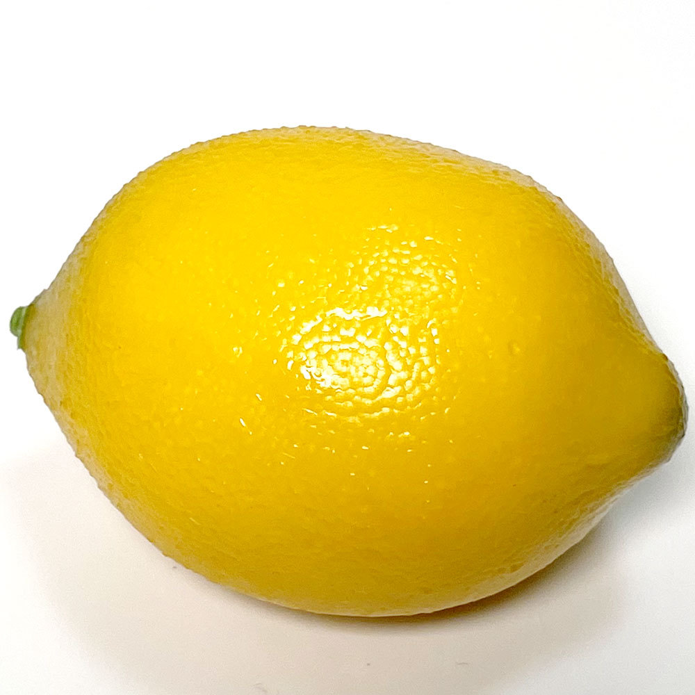 食品サンプル レモン 檸檬 れもん リアル フェイクフード 野菜 果物