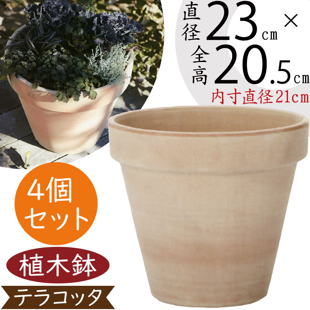 植木鉢 テラコッタ スタンダルド アリーナ 10号